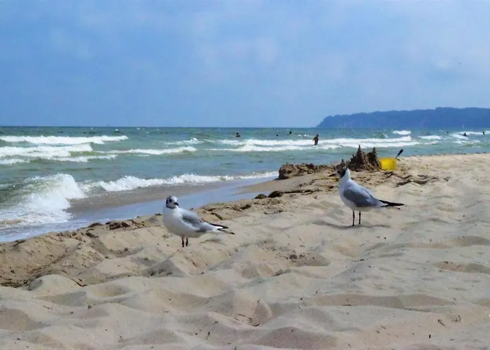 Apartment Strandperle-fam.kunkel Sellin (Rugen)